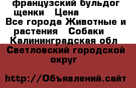 французский бульдог щенки › Цена ­ 50 000 - Все города Животные и растения » Собаки   . Калининградская обл.,Светловский городской округ 